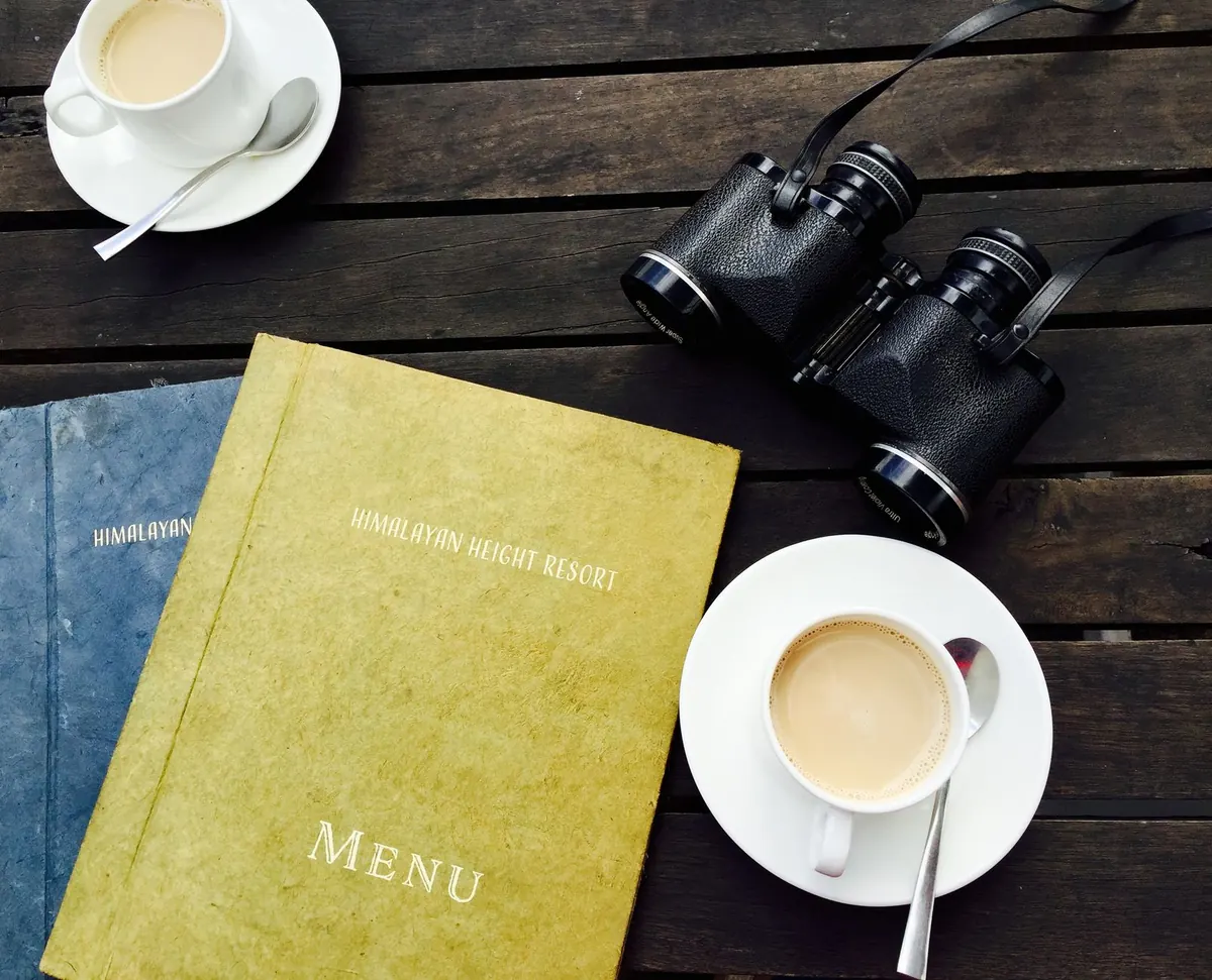 The First Birdwatching Outing Checklist: Binoculars, Apps, and Field Notes